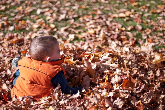 6 Fun Activities for Kids To Do This Fall